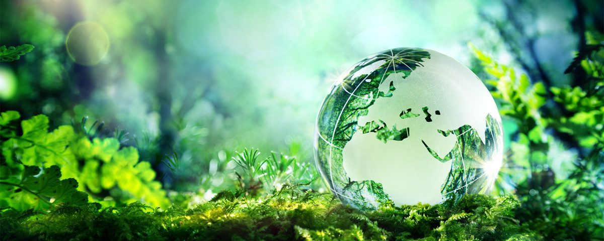 Conceptual image of globe in forest to represent the circular economy