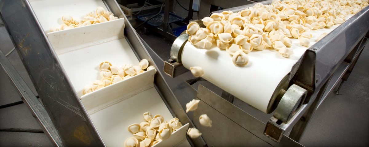 Food production line to demonstrate where the application of engineering design can realise improvements for the food processing and manufacturing industry